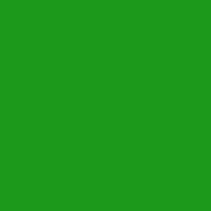 #43065-Fuse Master Transparent Paint Spring Green