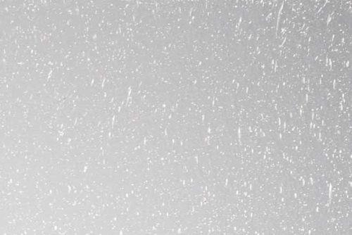 BU110127F-Clear Seedy