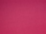 BU131130S - Cranberry Pink Transparent Striker Half Sheet