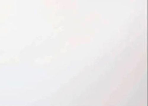 BU187730S - Olivine Tint Transparent Half Sheet