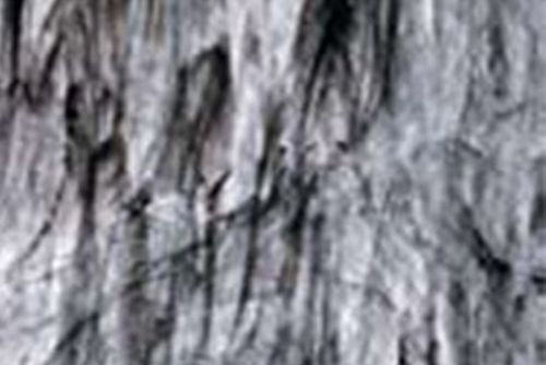 BU2100F-Clear/Black Opal