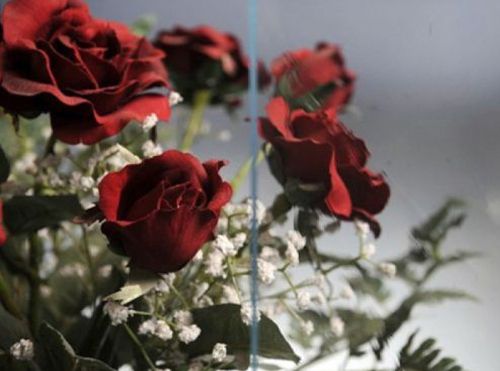 CG107- St.Just Cordele Medium Clear Restoration