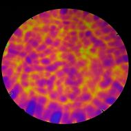 DC889B-CBS Thin Dichroic Purple/ Magenta/Gold On Black Aurora Borealis 8"x9" - 90 COE