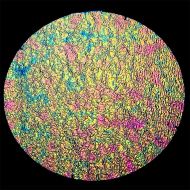 DC815A-CBS Dichroic Pink/ Emerald Green On Clear Ripple 16"x19" - 90 COE