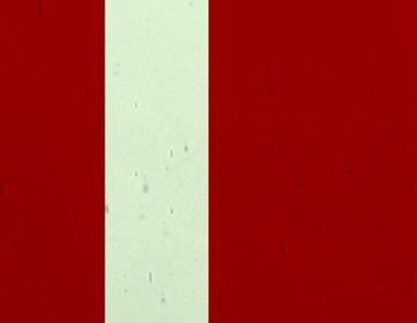 FL512-Lamberts Red On Green Flashed