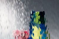 Cliquer pour agrandir