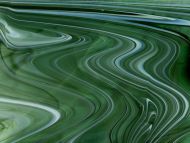 SF9041 - 96 Sherwood Olive Transparent/Sea Opal