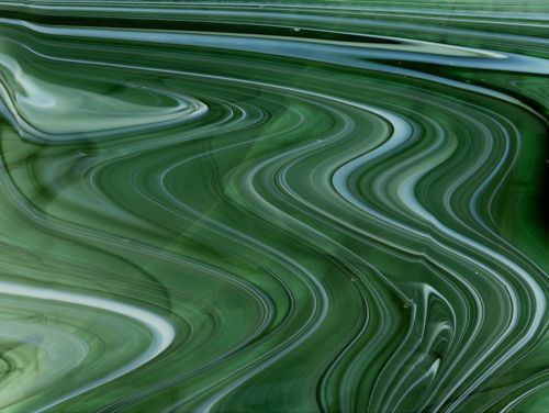 SF9041 - 96 Sherwood Olive Transparent/Sea Opal