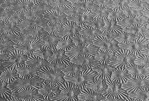 W1005-Clear Florentine #01FLOR