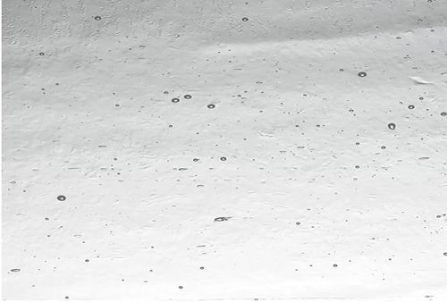 W1007CS-SAVE! Clear Seedy #01S 410' Case