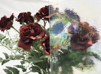 Ayrıntı için tıklayınız