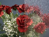 Klik om te vergroten