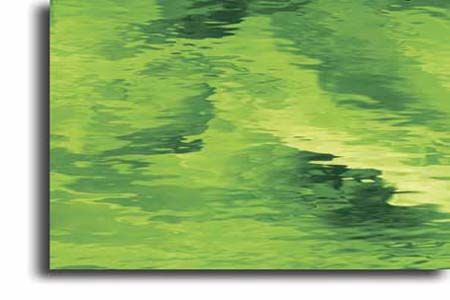 SF5262W- 96 Moss Green Waterglass Transparent