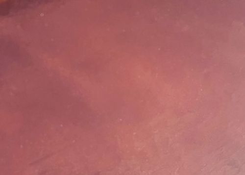 W1052-Md.Rose Trans.#134