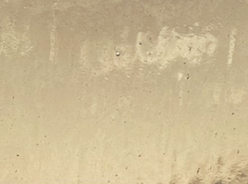 W1207-Amber Tint Seedy Trans.#0001S